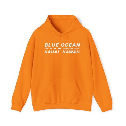 Go Blue or Go Home Hoodie