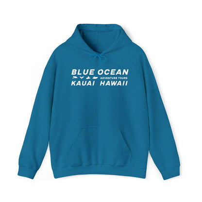 Go Blue or Go Home Hoodie