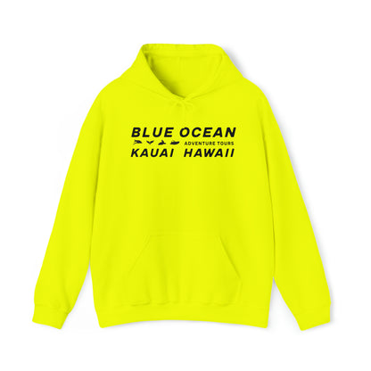 Go Blue or Go Home Hoodie