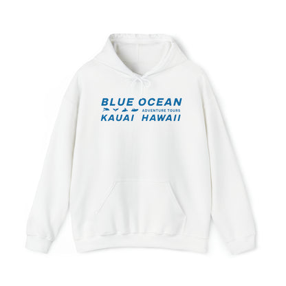 Go Blue or Go Home Hoodie