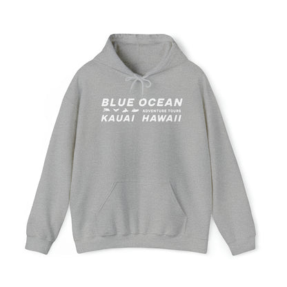 Go Blue or Go Home Hoodie