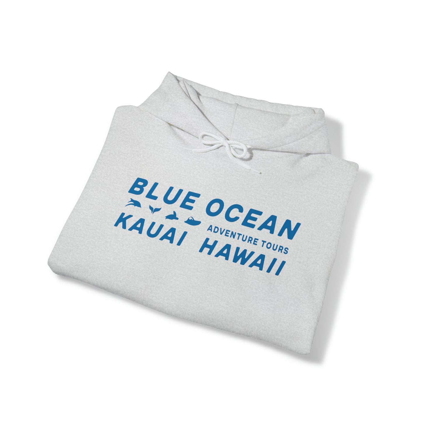 Go Blue or Go Home Hoodie